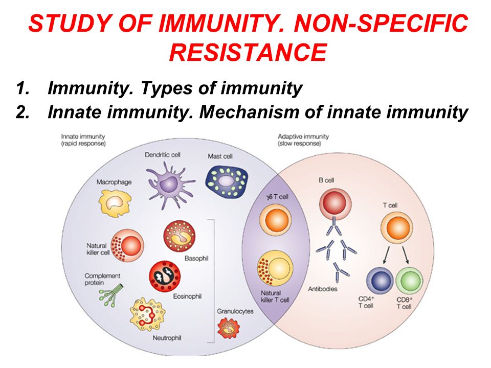 Inmunidad innata y adquirida